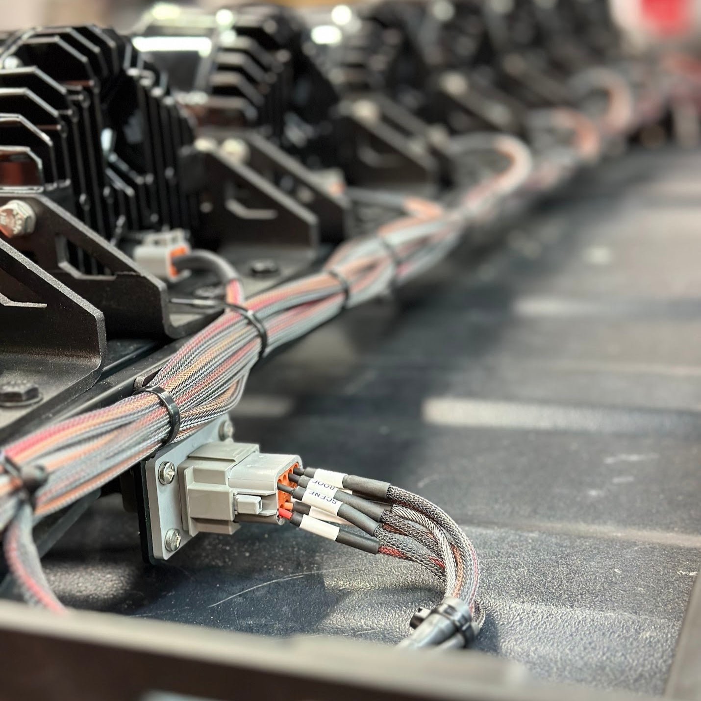 BackBone Chase Light Harness - Blaze Off-Road